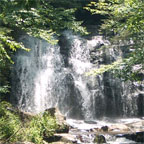 Waterfall in Great Smokey Mountains